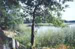 Bild p� v�g