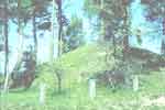 Bild p� v�g